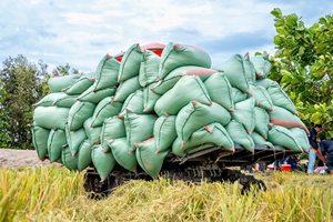Tractor Agrícola HOGICO HG80VN Turbo de 80HP con Orugas de Goma Resistentes, el Más Vendido - Product Image 2