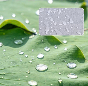 Mi Xiang Environment-Friendly Polyurethane Waterproof Paint Indoor Basement Use Excellent Effect Shandong China Customer Service - Product Image 5