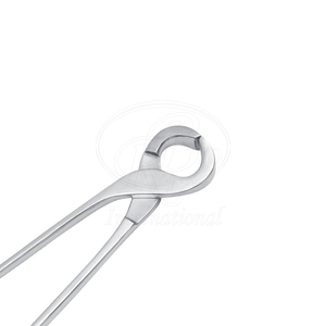 Shoe <b>Puller</b> and Spreader Stainless Steel Flush Cut 12 Inch Professional Farrier Tool - Product Image 5
