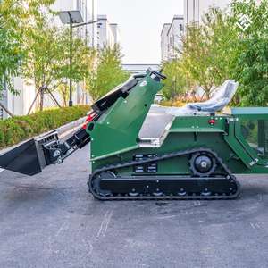 컴팩트 애자일 스키드 스티어 로더 - 브릭스 스트래튼 엔진 버킷 로그 포크 CE/EPA 시립 정원 개조용 - Product Image 3