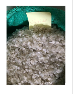 เกล็ดปลาแห้งที่ผ่านการทำความสะอาดแล้ว สำหรับการผลิตไบโอและคอลลาเจน วัตถุดิบจากปลาในน้ำจืด สำหรับการส่งออกจำนวนมาก พร้อมรายละเอียดข้อกำหนด - Product Image 1