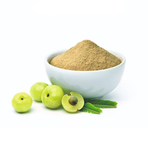 Extracto de Fruta de Amla en Polvo de Primera Calidad, Polvo de Grosella Indio, Extracto Natural de Grado Alimenticio, Suministro a Granel - Product Image 4