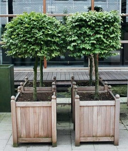 Jardinera de Madera Premium para Plantas de Interior y Exterior, Decoración de Jardín Elegante en Madera Natural para Balcón, Patio y Terraza - Product Image 1