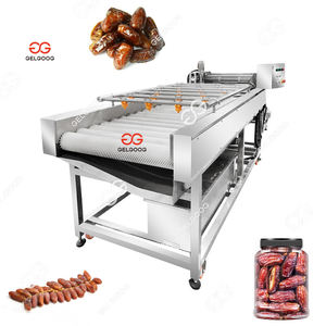 Date Processing Machine Washing Dry Machine 100kg/h Date Automatic Cleaning Sorting Equipment for Dried Fruit - Product Image 2