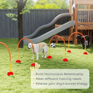 Attrezzatura per l'addestramento all'agility per cani - Product Image 6