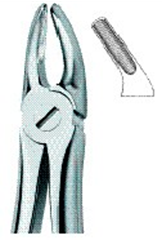 Instrumentos Dentales, Fórceps para Extracción de Dientes, Acero Inoxidable Manual, Acero Inoxidable Alemán de Primera Calidad, Autoclavable - Product Image 3