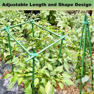 Durable Smooth Pultruded Fiberglass Plant <b>Support</b> Rods for Farming & Gardening - Product Image 5
