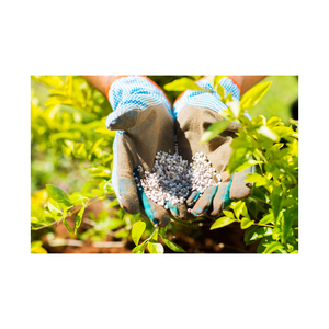 ตัวเลือกปุ๋ย NPK ราคาประหยัด พร้อมปริมาณสั่งซื้อที่ปรับเปลี่ยนได้ - Product Image 6