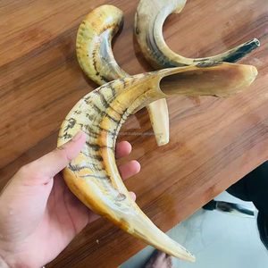 Corne de bélier naturelle Shofar pour souffler à des fins religieuses Souvenir d'animaux nautiques poli casher taille personnalisable fabriqué en Inde - Product Image 2