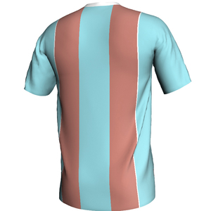 High Quality <b>Light</b> Weight Sportswear Wholesale Custom Soccer Jersey / OEM Custom Number Logo and Size Best Soccer Jersey - Product Image 2