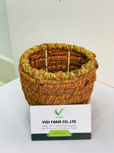Macetas Redondas de Fibra de Coco al por Mayor, Biodegradables, para Viveros, Macetas Orgánicas de Fibra de Coco para Plántulas, Macetas de Jardinería - Product Image 6