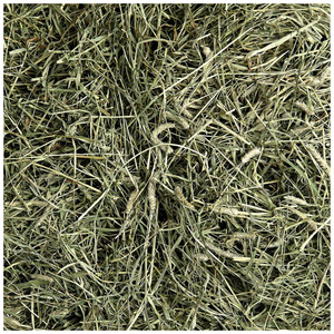 Heno de Alfalfa para Alimentación Animal, Heno de Timothy / Pellets de Heno de Alfalfa / Alfalfa en Fardos de la Mejor Calidad Superior - Product Image 6
