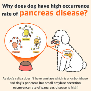 ดร. โดยเอนไซม์อาหารเสริมสำหรับสัตว์เลี้ยงตับอ่อนและกระเพาะอาหารการดูแลสุขภาพสุนัขอาหารผงวิตามินและอาหารเสริม - Product Image 4