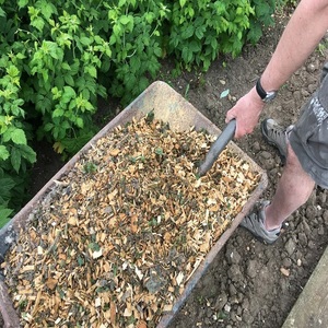 Copeaux de bois pour aménagement paysager / Copeaux de bois de qualité supérieure pour jardins et aménagement paysager |   Couverture de sol écologique - Product Image 4