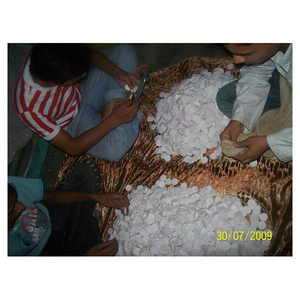 Botones de Hueso de Búfalo Hechos a Mano en India, Ecológicos y de Alta Calidad, Fabricados con Huesos Naturales de Animales para la Industria Textil - Product Image 5