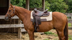 Almohadilla de fieltro de lana para montar a caballo, ligera, disponible en 32”x 32”, grosor de 32 mm, ideal para el rendimiento ecuestre. - Product Image 4