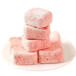 Factory Direct Freeze Dried Yogurt <b>Bites</b> with Real Fruit Healthy Crispy Snack OEM ODM Vietnam Manufacturer - Product Image 4