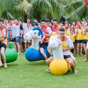 Caballo Inflable Portátil de PVC para Team Building, Venta al por Mayor, Viet Nam Thuy Linh, Transporte Seguro, Todas las Estaciones, Instalación Fácil en 5-10 Días - Product Image 1