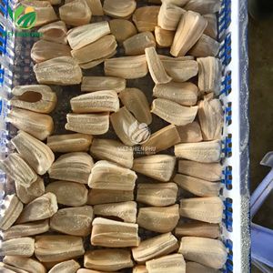 ขนุนแช่แข็งคุณภาพสูง – มาตรฐานส่งออก – ส่งตรงจากเวียดนาม - Product Image 2