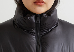 Manteau d'hiver épais pour femmes, veste matelassée grande taille, col montant, veste rembourrée chaude, veste en duvet pour femmes - Product Image 2