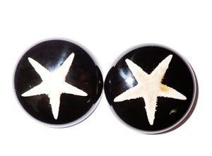Starfish Real Specimen Plastic Cabochon Round 35x35 mm Black Flat Bottom for Crafts and Jewelry Making - Product Image 2