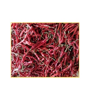 Fourniture en vrac directe du fabricant de poivrons entiers rouges séchés à la teja indienne intensément épicée avec une saveur riche - Product Image 4