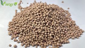 Fertilizante Compuesto NPK 17-17-17 - Fertilizante Granular - Fabricante Vietnamita - Color: Marrón - Product Image 3