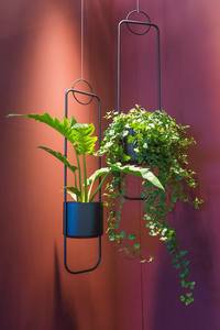 Matte black planter - Product Image 5