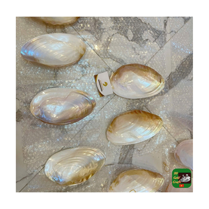 Platos Ovalados de Nácar de Buena Calidad a Precio Mayorista, Plato de Concha de Nácar, Artículos de Decoración para el Hogar - Product Image 1