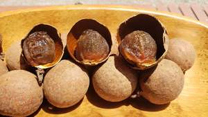 Longanes séchées douces du Vietnam, saveur naturelle et sucrée, durée de conservation de 12 mois, qualité export - Product Image 2