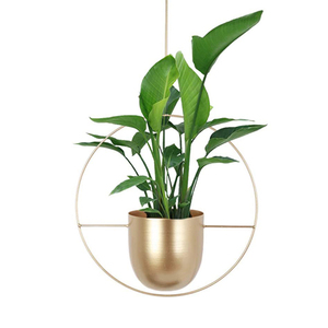 กระถางและกระถางต้นไม้ทำจากทองเหลืองสำเร็จรูปสไตล์ทรงกลมสำหรับตกแต่งบ้านกลางแจ้งและในร่ม - Product Image 5