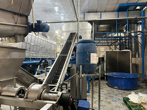 Noix de coco râpée de qualité supérieure, grade moyen fin, goût naturel frais, coque entière, durée de conservation de 24 mois pour la pâtisserie et la cuisine / ANNA - Product Image 6