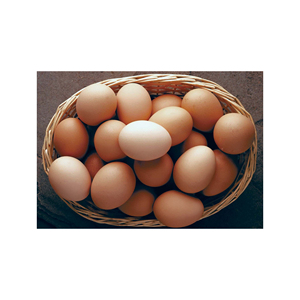 Œufs de poule de table de première qualité, frais, nouvelle arrivée, prix direct usine, vente en gros, sur mesure - Product Image 1