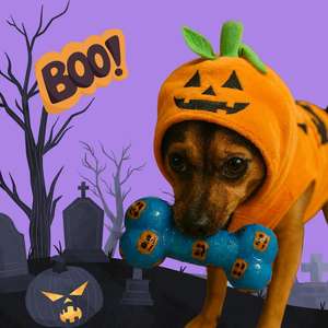 Giocattolo per Cani in Gomma 16,5x7,5cm con Design Halloween, Colori Vivaci, Facile da Pulire, Resistente ai Morsi, Gioco Interattivo e di Movimento per Animali Domestici - Product Image 5