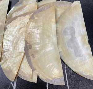 เปลือกหอยมุกคุณภาพสูง ทนทาน ขัดเงา สำหรับฝังตกแต่งกีตาร์ ผลิตในเวียดนาม - Caryln 0084935825297 99GD - Product Image 6