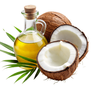 Huile de noix de coco vierge pour produits de soin naturels, meilleure huile de noix de coco du Vietnam International Agriculture! - Product Image 3