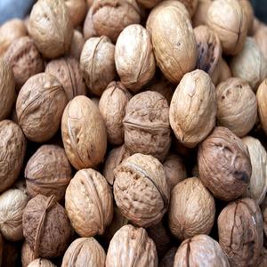 Nueces Procesadas con Cuidado, Listas para Exportación a Granel, Ofrecemos Nueces Frescas y Crujientes, Ideales para Compradores Internacionales de Gran Volumen - Product Image 6