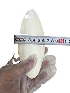 El mejor hueso de sepia seca para regalos personalizados para mascotas y el mejor suplemento proteico para aves, periquitos - Product Image 2