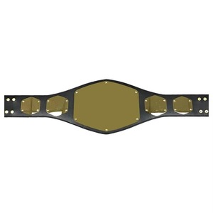 Premium Leather Wrestling Style Award Belt Metal Plate Adjustable Waist Collectible Display Accessory - Product Image 1