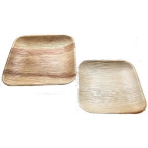 Assiettes carrées compostables de 6 pouces en feuille de palmier pour l'emballage alimentaire, la restauration en plein air, les événements, l'hôtellerie et la restauration 2026 - Product Image 1