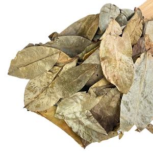 100% Hojas de Guanábana secadas al sol naturales de Vietnam seleccionadas a mano para pureza y producto agrícola rentable - Product Image 3