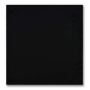 <b>Men</b> Long Black Silk Scarf With Tassels Solid Color Lightweight All Seasons Daily Wear Accessory - Product Image 2