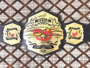 Cinturón de Campeón Mundial de Lucha Libre TNA, Chapado en Oro, Cuero PU, Unisex, Equipo de Artes Marciales - Product Image 6