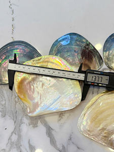 PLAT EN COQUILLE POLI 15-30CM |   Perle brillante 100% naturelle rose, noire et jaune |   PLAQUE À LUSTRE RAINBOW MULTICOLORE - Product Image 4