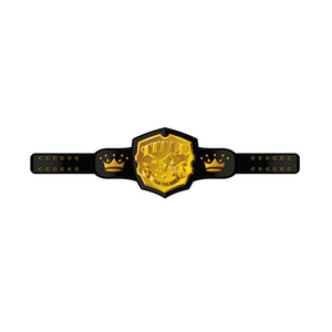 Cinturón de Campeonato con Logotipo Personalizado, Placas de Latón de Aleación de 3 mm, Cinturón de Título de Lucha Libre y Boxeo - Product Image 6