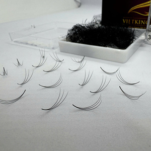 0.05 0.07 Handmade 6D 8D Eyelash Extensions CC DD M Curl Natural Long Matte Black High Quality Customizable - Product Image 1
