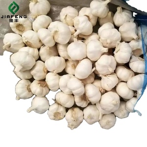 Normal Beyaz veya Saf Beyaz Sarımsak Sebzeleri Sağlıklı Faydaları Olan Sarımsak Çiğ Halinde Yenilir Çoklu Paket - Product Image 4