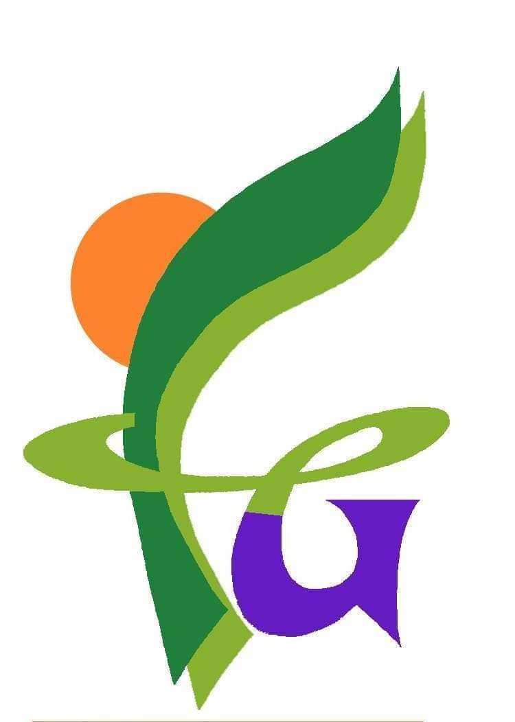 FALAK GEMS logo