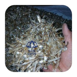 ปลาแอนโชวี่แห้งบลูโลตัส [สินค้าขายดี] อายุการเก็บรักษา 24 เดือน เหมาะสำหรับซุป น้ำซุปข้าวต้ม และอื่นๆ จากเวียดนาม - Product Image 1