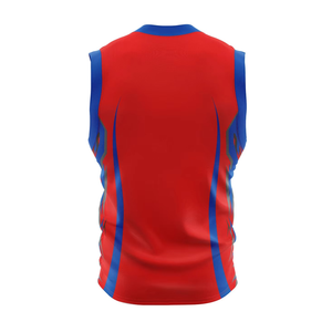 Maillot de basketball d'été pour homme, impression par transfert thermique, 100 % polyester, antibactérien, option nom et logo, pour entraînements et matchs – Vente chaude - Product Image 5